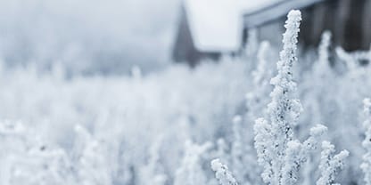 Protect Your Pipes from Freezing this Winter