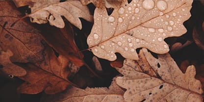 Why Autumn Is the Time to Service Your Heating System