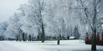 How Engineers Read the Signs Your Heating System Shows in Winter